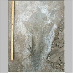 102_6263 (2013-08-08)m2.JPG